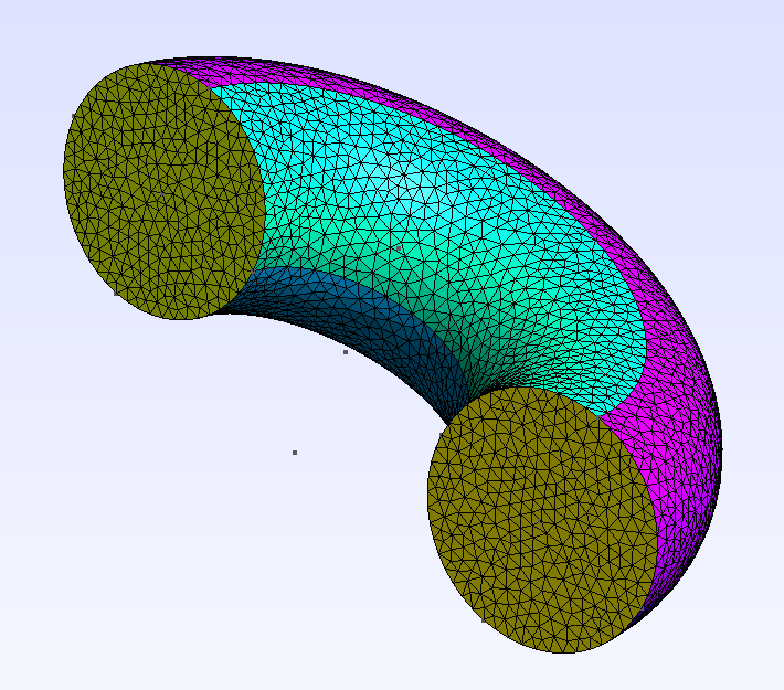 torus perspective 1